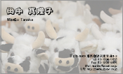 動物005