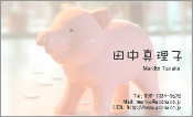 動物005