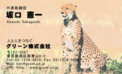 動物001