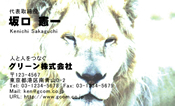 動物006