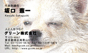 動物008