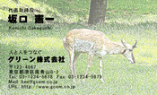 動物002