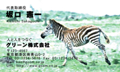 動物003
