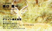 動物006
