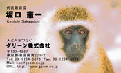 動物009