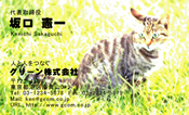 動物003