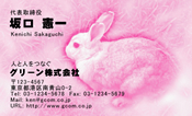 動物005