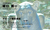 動物007