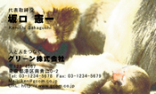 動物005