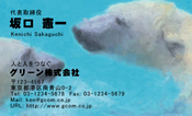 動物006