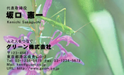 動物001
