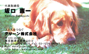 動物006