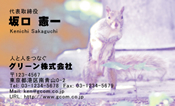 動物007