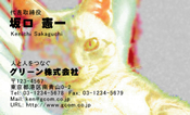 動物001