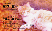 動物004