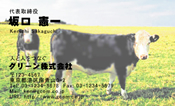 動物005