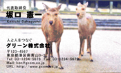動物008