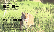 動物002