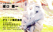 動物005
