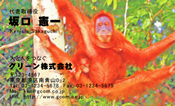 動物009