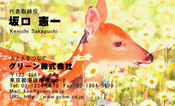 動物001