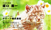 動物001