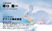 動物002