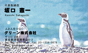動物006