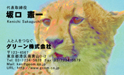 動物002