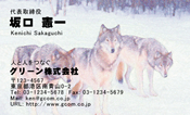 動物004