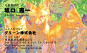動物006