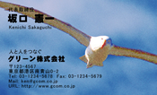 動物007