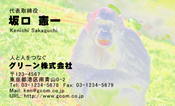 動物003
