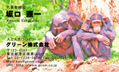 動物004