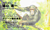 動物005