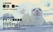 動物006