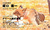 動物008