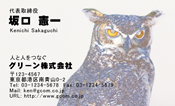 動物006