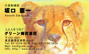 動物002