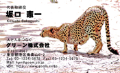 動物003