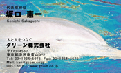 動物007
