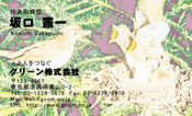 動物001