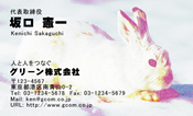 動物002