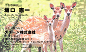 動物004