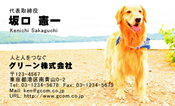 動物008