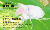 動物002