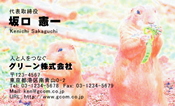 動物009