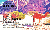 動物001