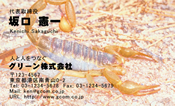 動物007