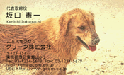 動物001